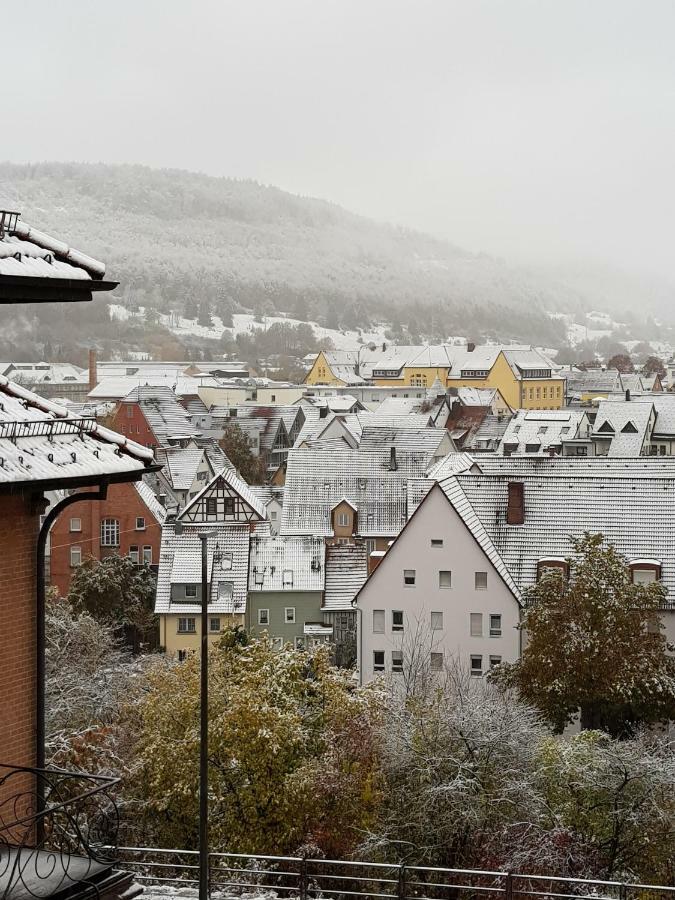 Ferienwohnungen Albstadt Eksteriør billede