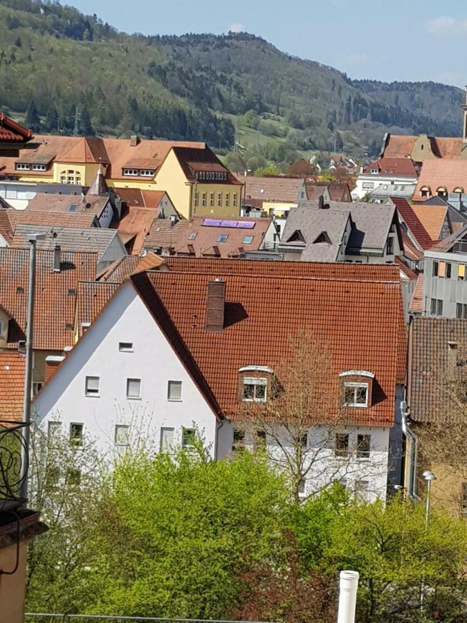 Ferienwohnungen Albstadt Eksteriør billede